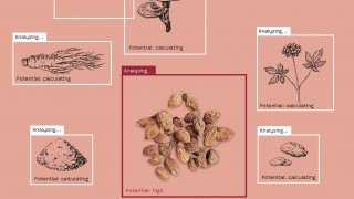 New Hope for Parkinson’s and Alzheimer’s Sufferers