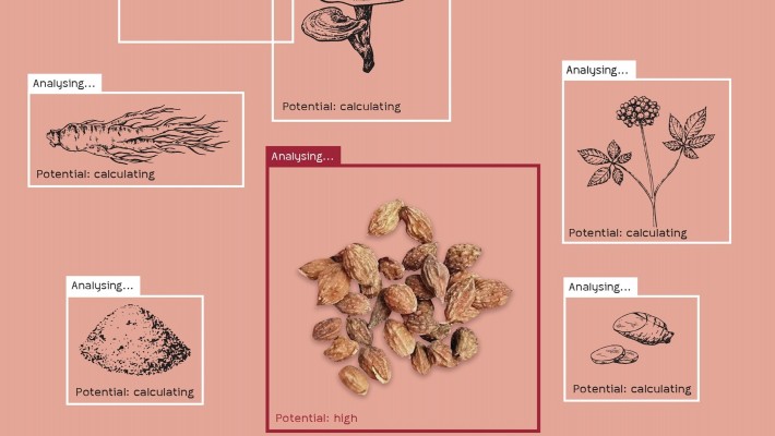 New Hope for Parkinson’s and Alzheimer’s Sufferers