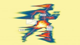 Instilling Sporting Excellence