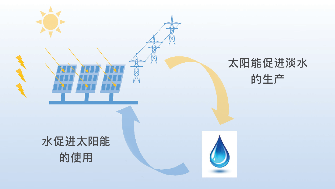 王博士研究使用太阳能生产淡水，并利用水资源生产太阳能，为水资源的可持续发展作出贡献。