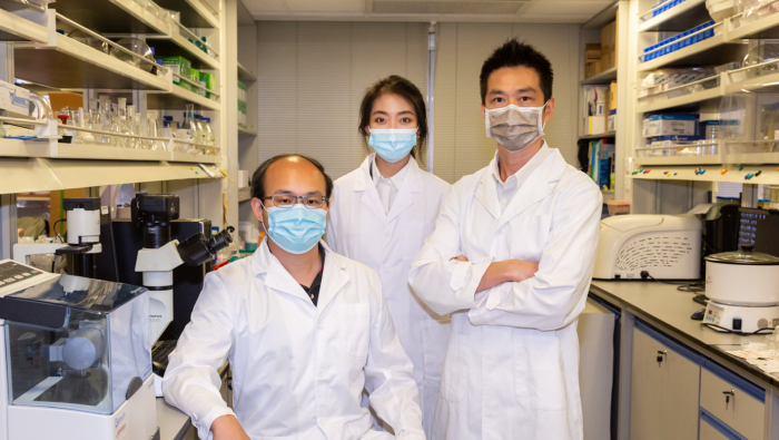 The research team comprises Dr Song-lin Chua (left), Dr James Fang Kar-hei (right), PhD student Ms Sylvia Yang Liu (middle) and MPhil student Mr Matthew Ming-lok Leung.
