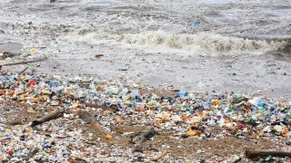 Microbial solution for microplastic pollution