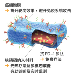 The nanosheet is designed to perform multiple functions.