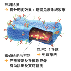 The nanosheet is designed to perform multiple functions.