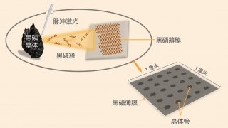 突破性黑磷研究  促进新一代电子及光电子器件发展