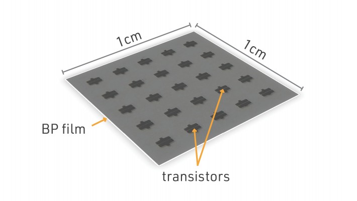A sheet of one square centimetre BP film, produced through pulsed laser deposition, can accommodate 25 transistors with good electrical performance for use in electronic devices.