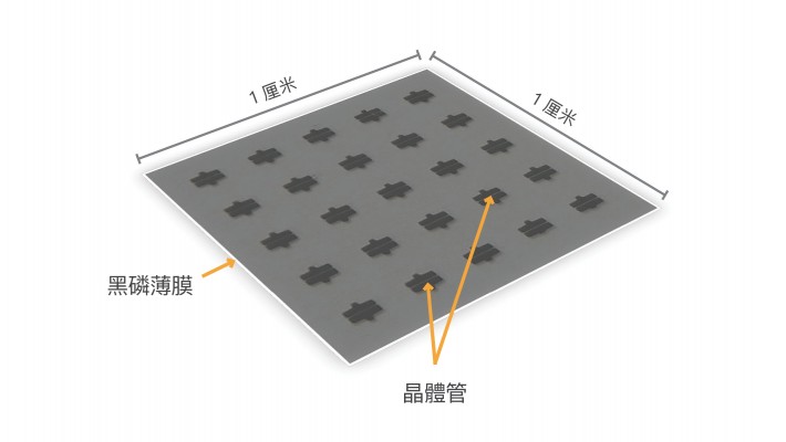 利用PLD 技術合成、面積1 平方厘米的黑磷薄膜，容納了25個電性能良好的晶體管，應用於電子器件。