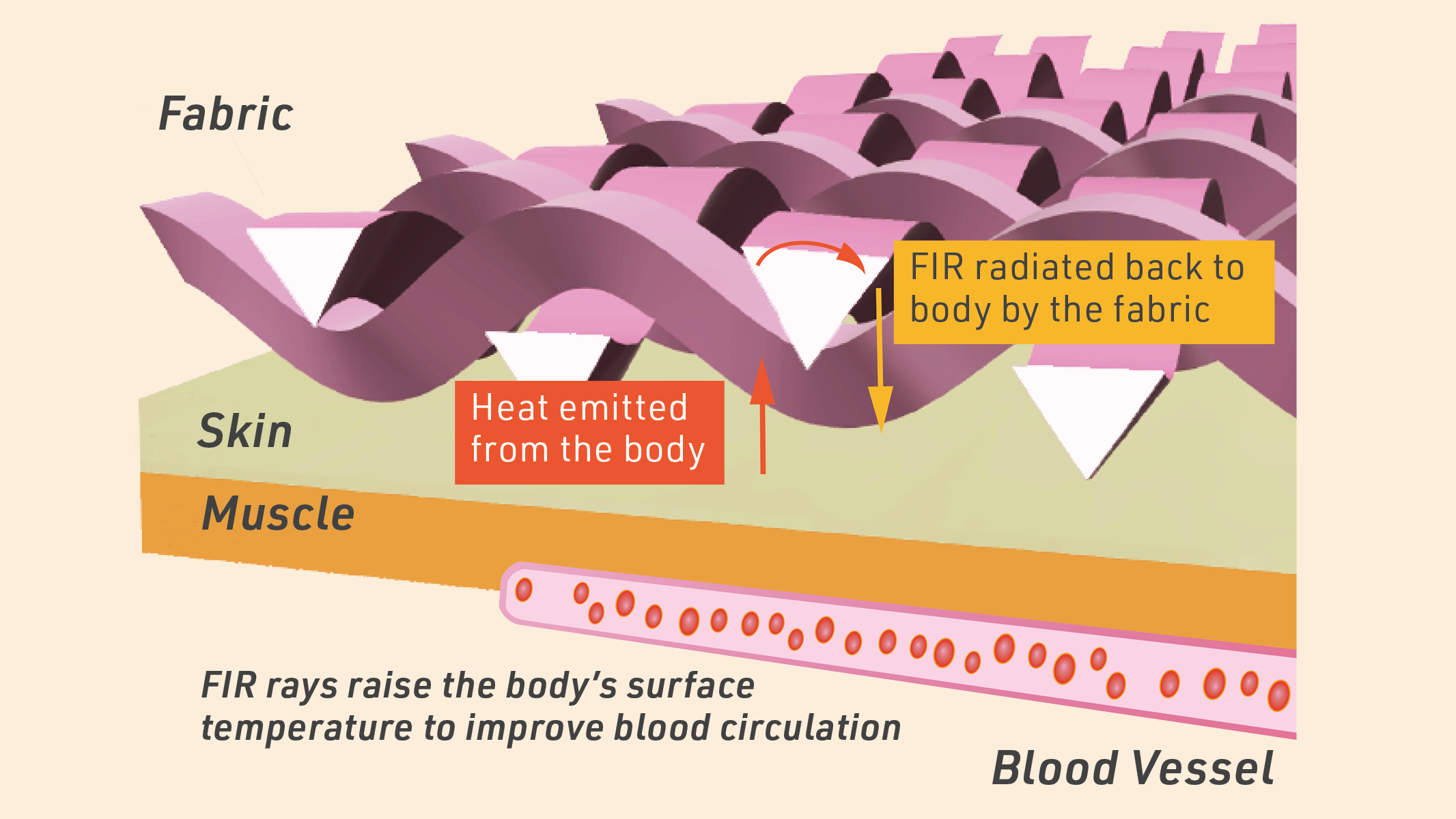 FIR textiles using synthetic fibres with a triangular crosssection absorb and emit FIR more efficiently, raising the body’s temperature and bringing health benefits.