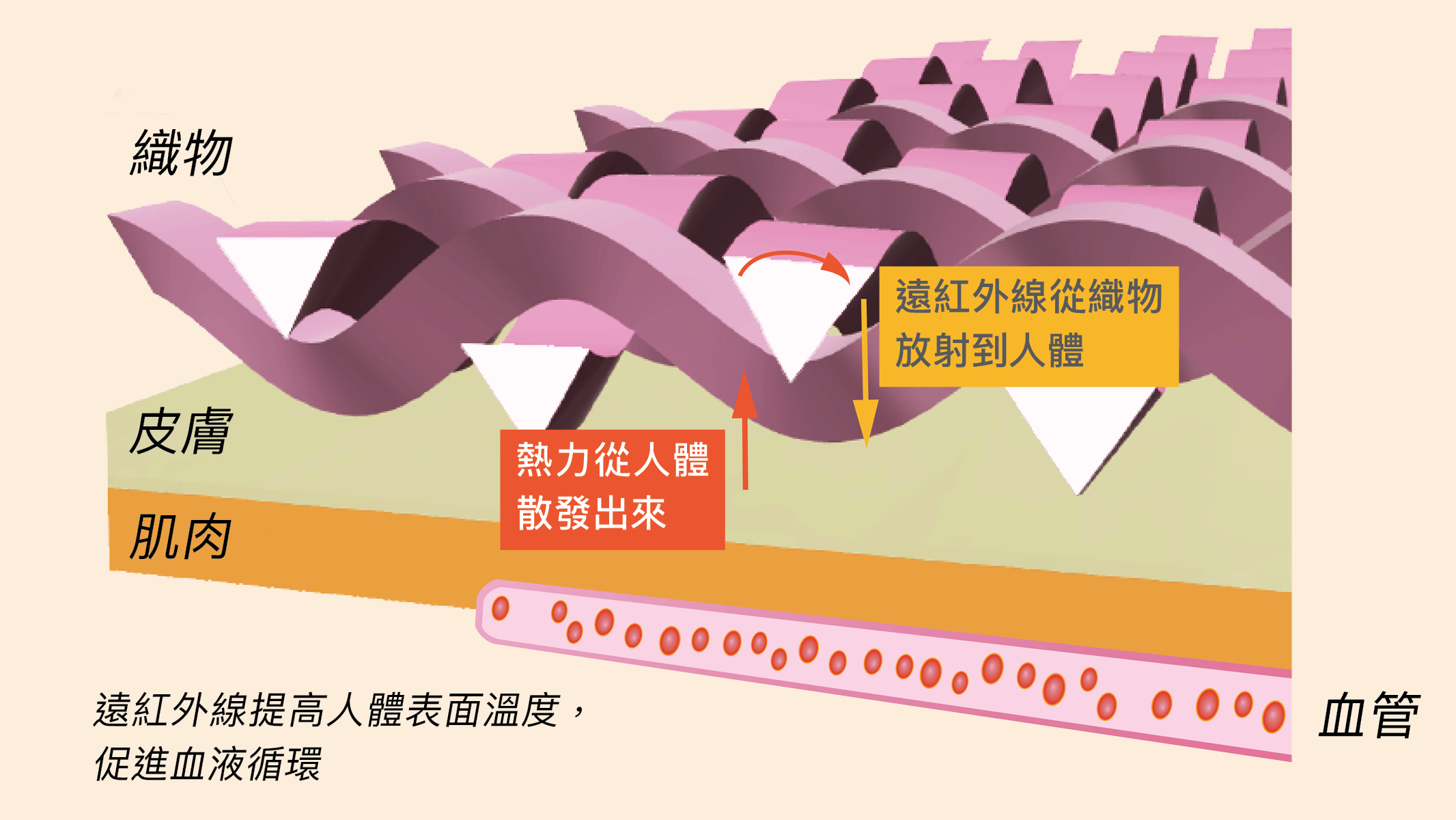 採用三角型橫切面合成纖維製成的遠紅外線紡織品，能更有效地吸取及放射遠紅外線，提高人體溫度，促進健康。