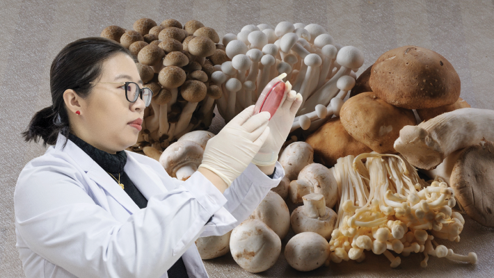The project “Development of micro-encapsulated probiotic products with fungal mycelia” led by Dr Gail Chang was admitted to the GBA Startup Postdoc Programme in 2019.