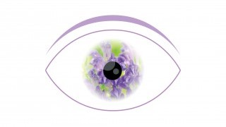 理大研究發現黃芩素或可治青光眼