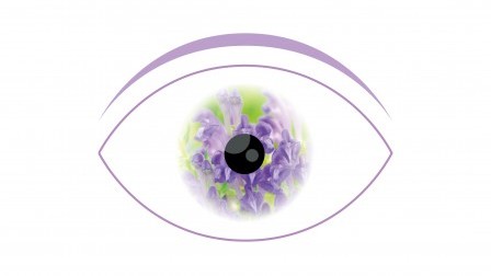 理大研究发现黄芩素或可治青光眼
