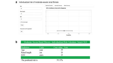 Smart-CKD: Elevating Chronic Kidney Disease Management with a Non-invasive Diagnostic Tool Integrating Demographic Data with Ultrasound Features