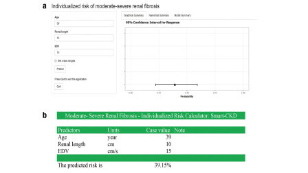Smart-CKD: Elevating Chronic Kidney Disease Management with a Non-invasive Diagnostic Tool Integrating Demographic Data with Ultrasound Features