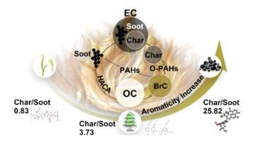 Unveiling the Real Culprit Behind Climate Change: New Insights into Black Carbon
