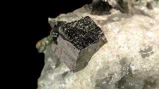 Unlocking Spin Coherence in Chiral Perovskite Quantum Wells for Next-Generation Spintronics