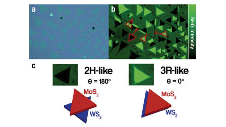 Advancements in Ferroelectric Untwisted Heterobilayers: A Novel Approach