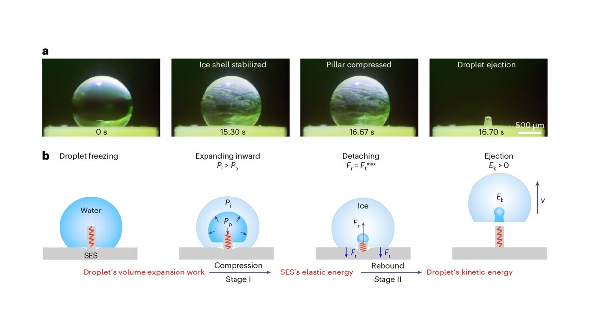 Innovative Spring-structured Elastic Surface for Spontaneous Ejection ...