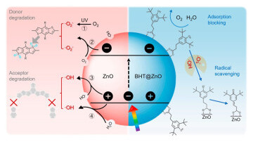 Novel Radical Scavenger in Inverted Organic Photovoltaics to Enhance Solar Energy Harvesting 