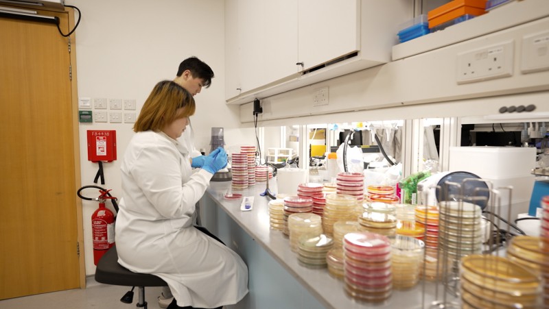 Prof. Siu’s team is collaborating with the Hospital Authority to conduct genetic sequencing on samples of respiratory infections and multi-drug resistant bacteria. 