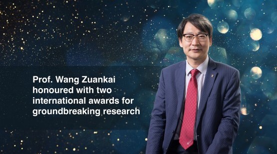 Breakthrough in nano-energy and interfacial engineering garners  international accolades