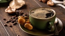 Startup develops mushroom coffee: a healthier, lower-caffeine option for wellness seekers