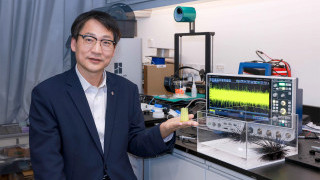 Sea urchins inspire next-generation sensors