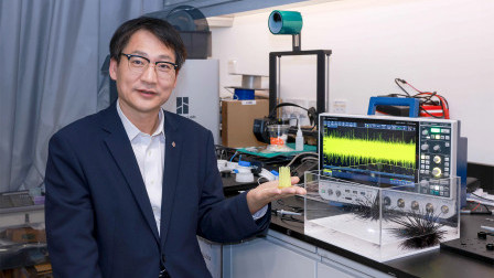 Sea urchins inspire next-generation sensors