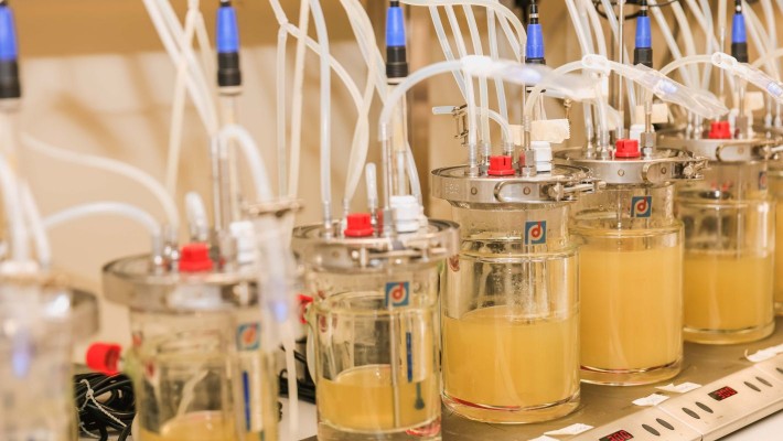 PolyU-Yakult Joint Research Laboratory for Probiotics and Prebiotics in Human Health will conduct innovative research for the prevention and treatment of gut and brain diseases and eczema using probiotics and prebiotics. 