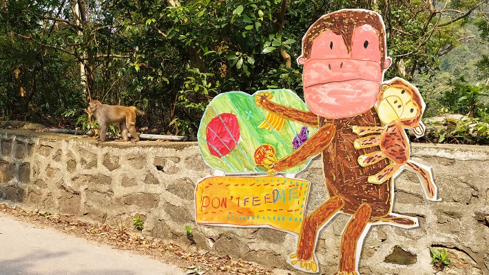 Children aged between 3.5 and 5.5 participated in signage design for prohibiting monkey feeding.