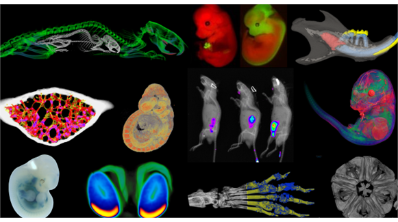 openingpicversion1-675x379