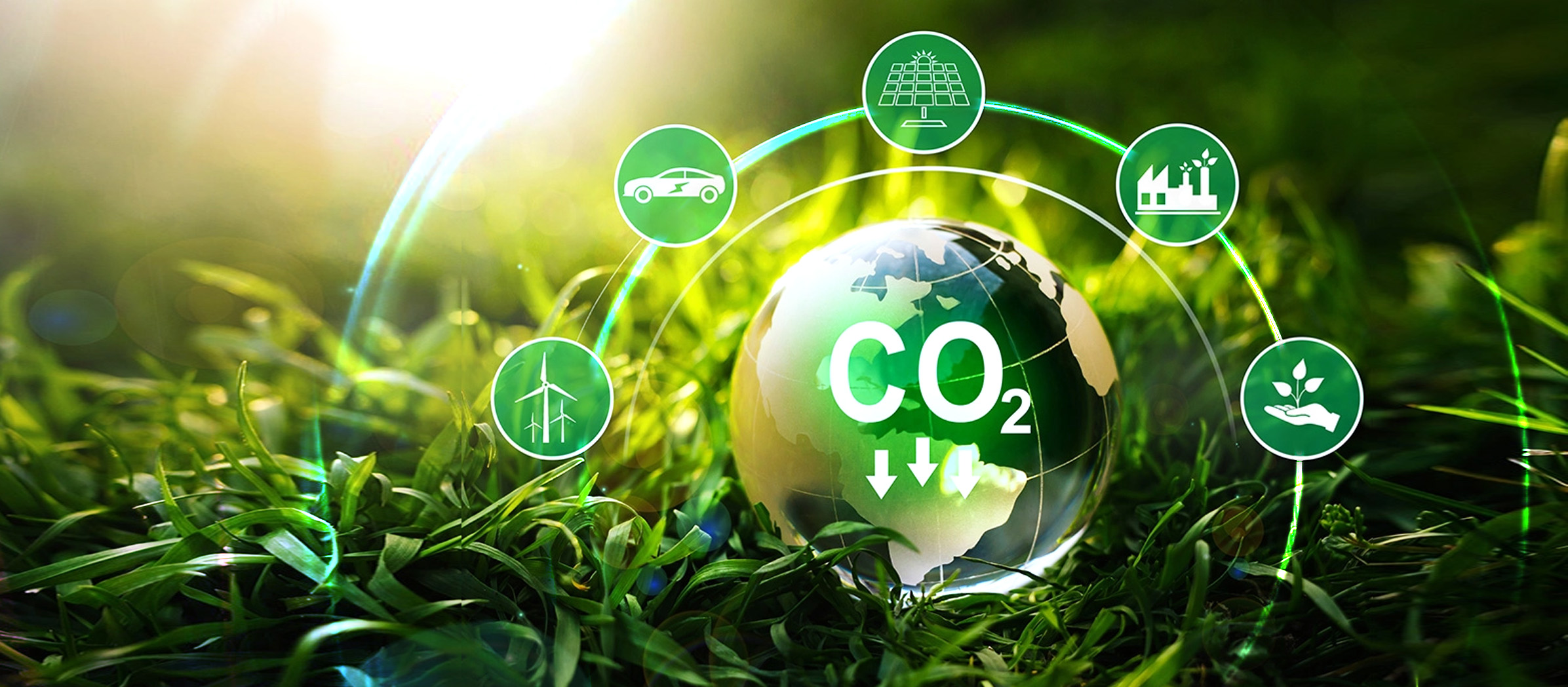 Research Centre for Carbon-Strategic Catalysis (RC-CSC), The Hong Kong ...