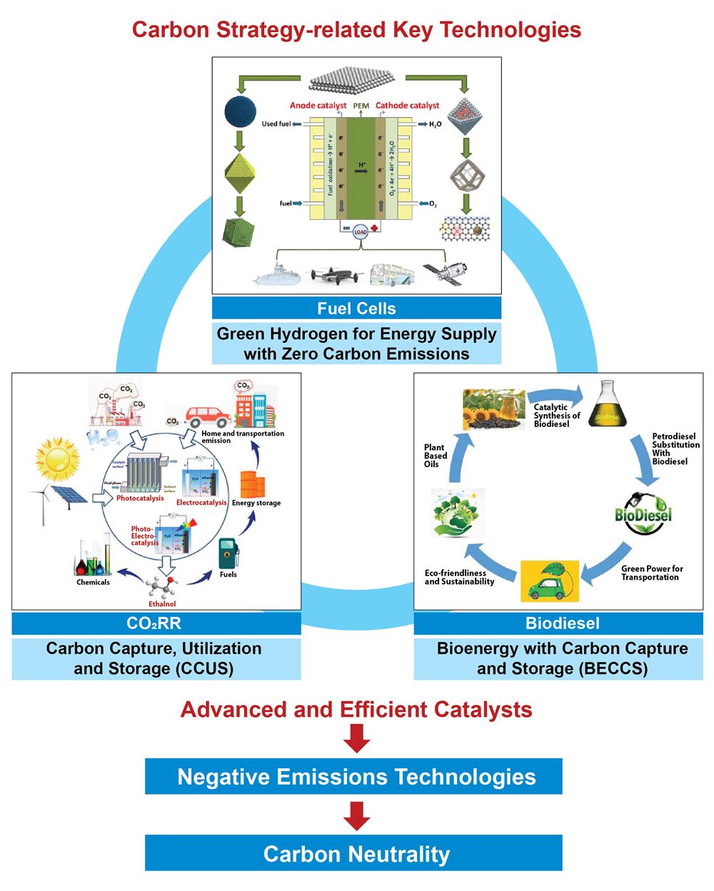 Carbon Strategy_v2