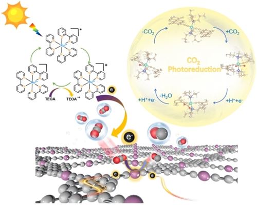 Research HighlightProf Raymond Wong