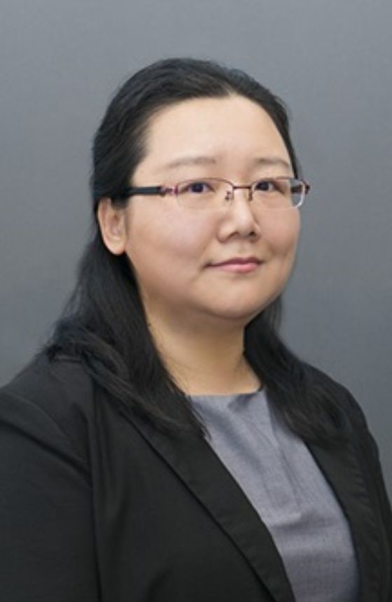 Prof. Nan Chen