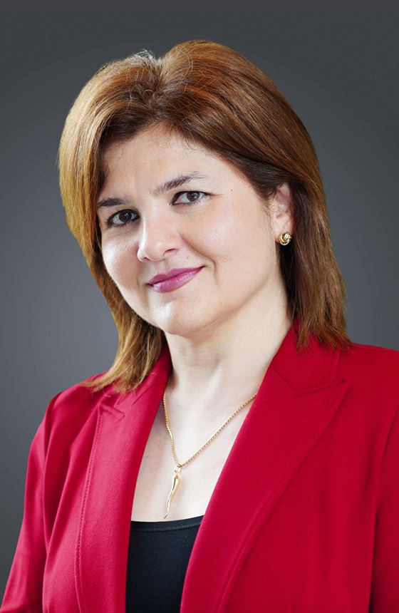 Prof. Dori Davari | Research Centre for Digital Transformation of Tourism