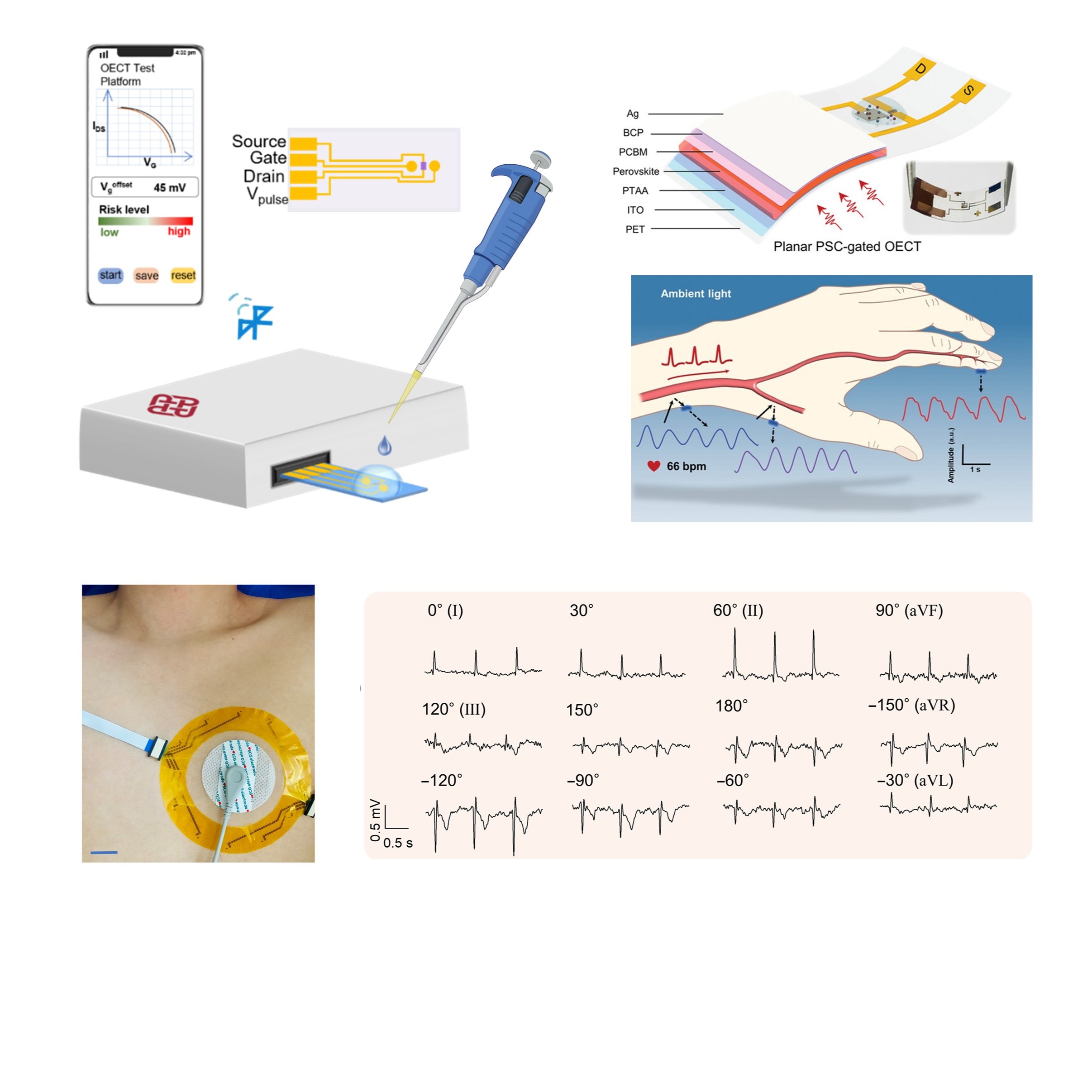 wearable and portable