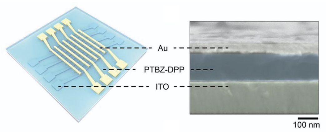 Screenshot 20250522 at 31718 PM