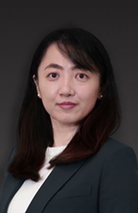 Dr Meng Wang