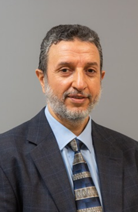 Ir Prof. T. Zayed