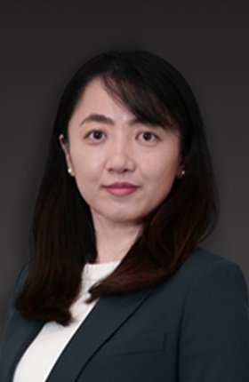 Dr Meng Wang