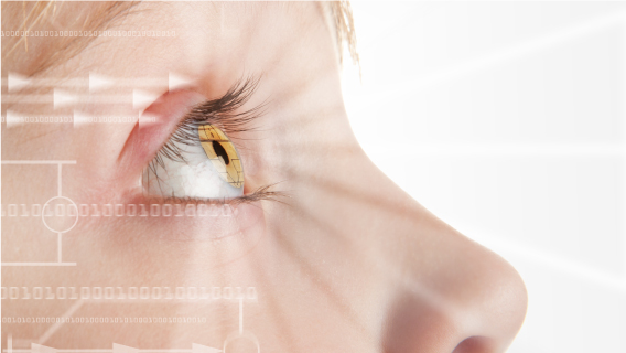 Sharp Vision Example Home | Research Centre for SHARP Vision