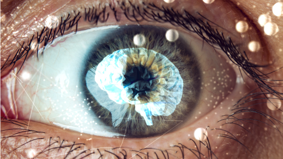 Sharp Vision Example Home | Research Centre for SHARP Vision