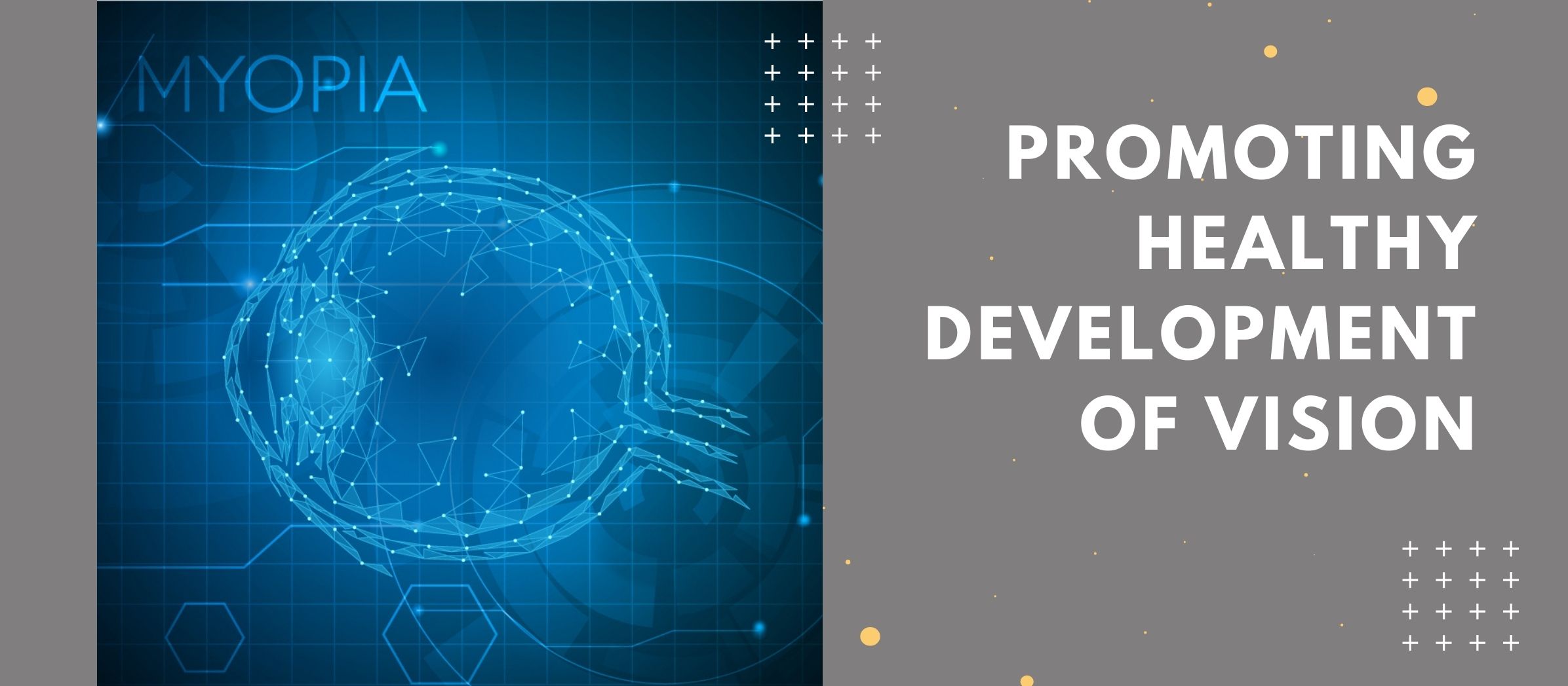 Promoting Healthy Development of Vision 