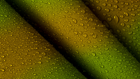 Theme 1 Advanced fashion  textile materials and technologies