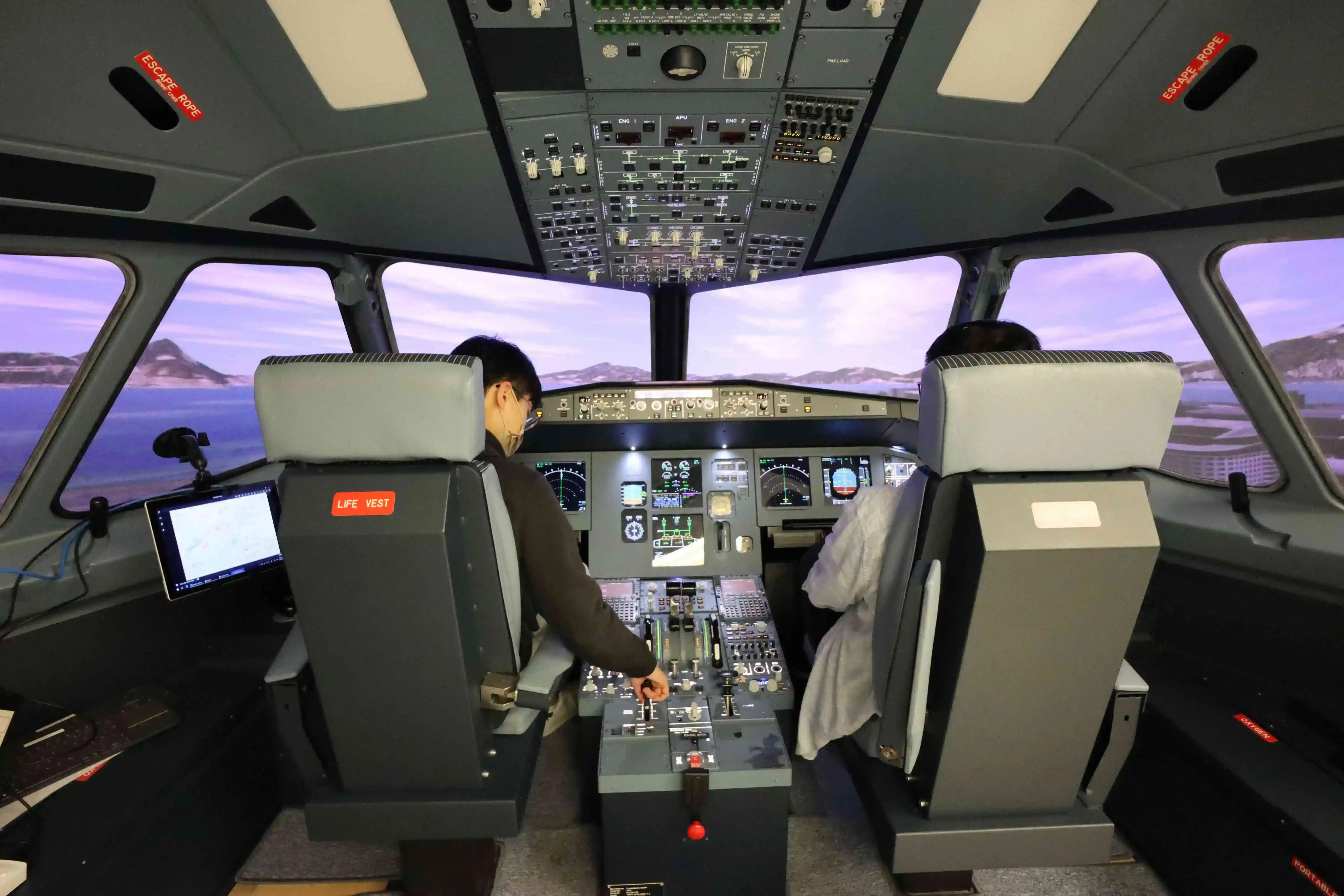 Cockpitsonic Flight Simulator — cockpit environment