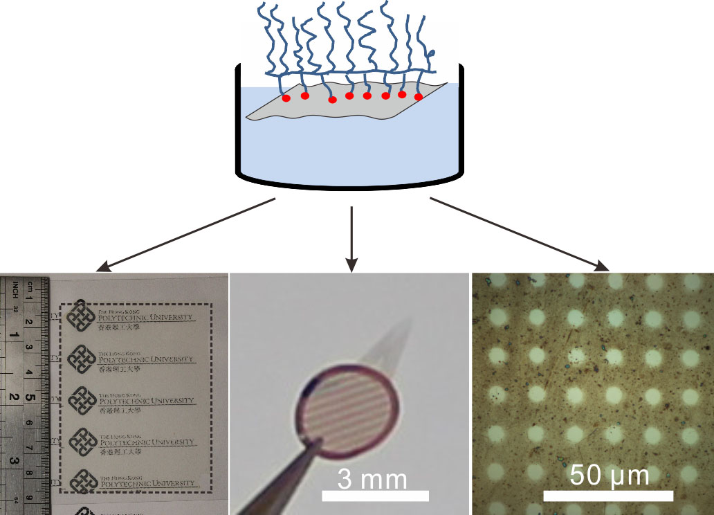 polymer@graphene 2D objects