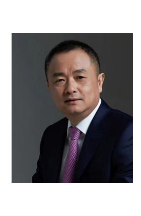 Prof. Hong Mei