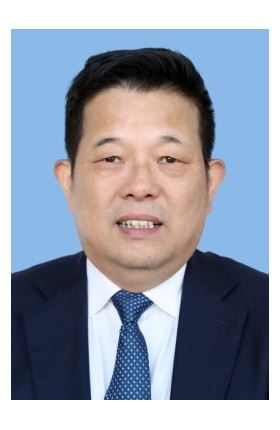 Prof. CHEN Xin