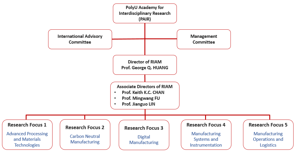 RIAM organisation structure